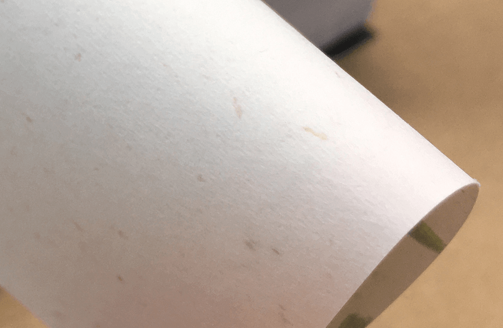 バナナペーパー裏面の写真。画用紙のような凹凸があります。